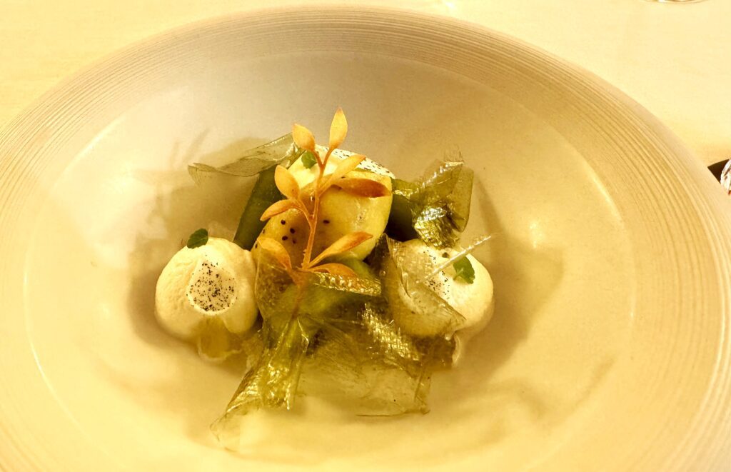 Large plate with marinated kiwi with mint sorbet and aloe vera foam from Le Chantecler, Nice, France